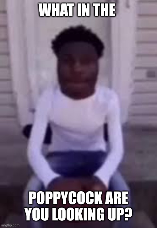 WHAT IN THE POPPYCOCK ARE YOU LOOKING UP? | made w/ Imgflip meme maker