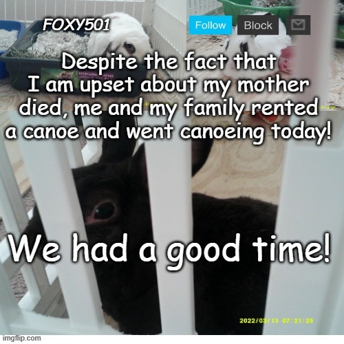 Foxy501 announcement template | Despite the fact that I am upset about my mother died, me and my family rented a canoe and went canoeing today! We had a good time! | image tagged in foxy501 announcement template | made w/ Imgflip meme maker