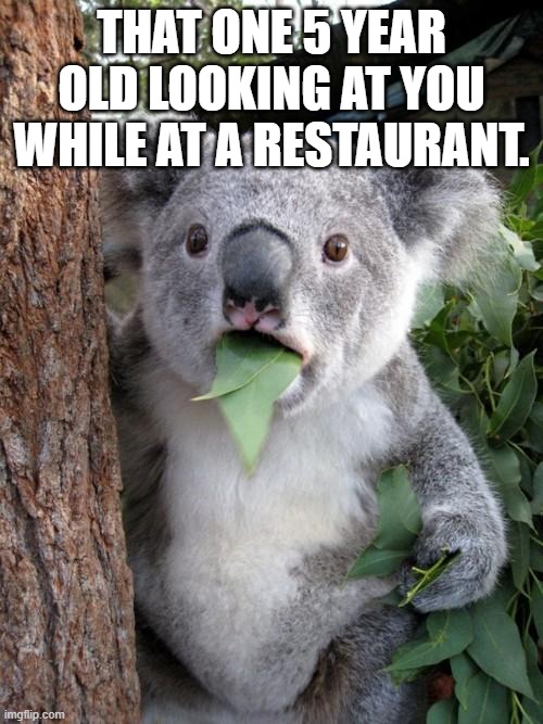 They just dont care! ??? | THAT ONE 5 YEAR OLD LOOKING AT YOU WHILE AT A RESTAURANT. | image tagged in memes,surprised koala | made w/ Imgflip meme maker
