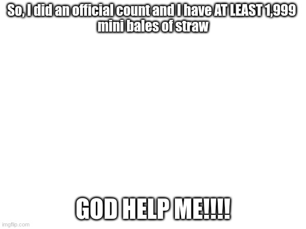 So, I did an official count and I have AT LEAST 1,999 
mini bales of straw; GOD HELP ME!!!! | made w/ Imgflip meme maker