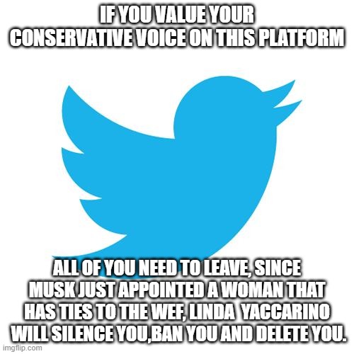 Musk just appointed a liberal twat to take over Fascist Twitter | IF YOU VALUE YOUR CONSERVATIVE VOICE ON THIS PLATFORM; ALL OF YOU NEED TO LEAVE, SINCE MUSK JUST APPOINTED A WOMAN THAT HAS TIES TO THE WEF, LINDA  YACCARINO  WILL SILENCE YOU,BAN YOU AND DELETE YOU. | image tagged in twitter birds says,ceo,liberals,globalism,elon musk,fascist | made w/ Imgflip meme maker