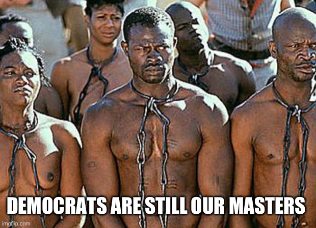 slavery | DEMOCRATS ARE STILL OUR MASTERS | image tagged in slavery | made w/ Imgflip meme maker