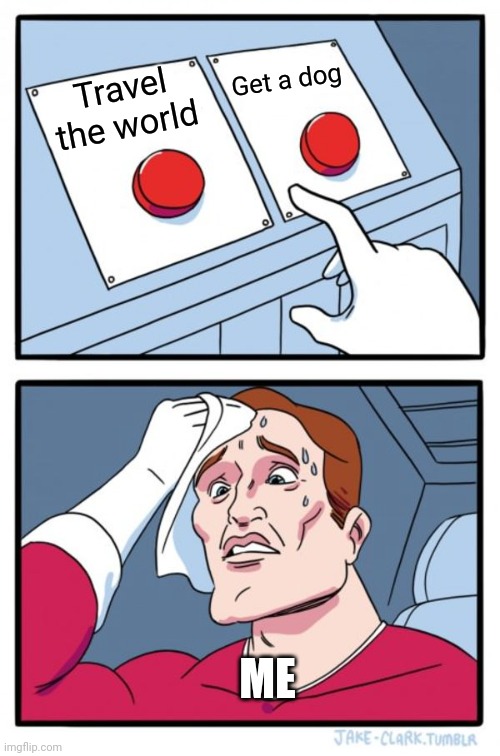 Difficult choice for me | Get a dog; Travel the world; ME | image tagged in memes,two buttons | made w/ Imgflip meme maker