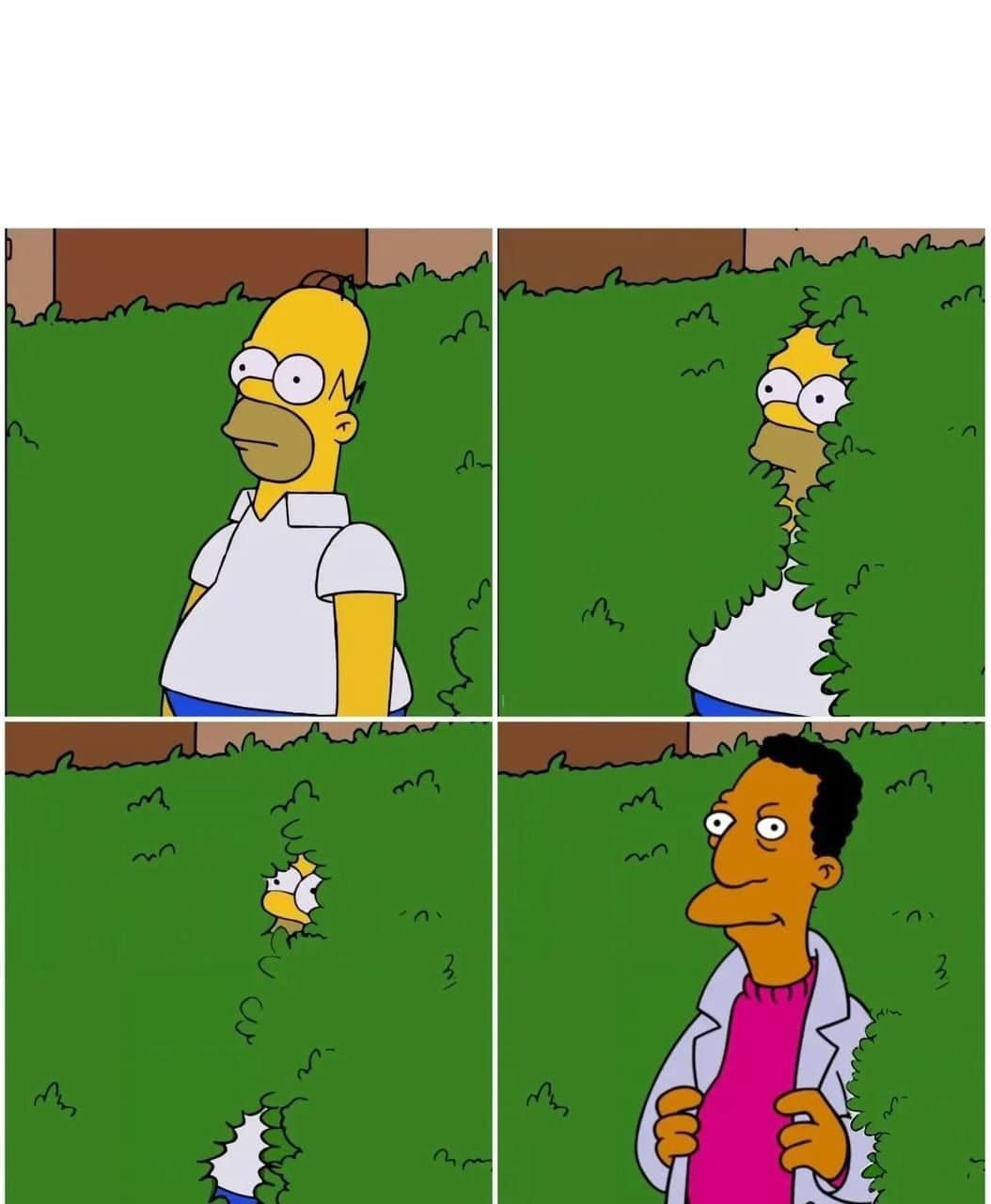 Homer hedge bush CARL edition Blank Meme Template