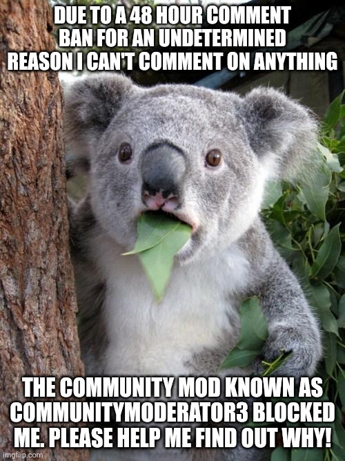 Imgflip.com/user/CommunityModerator3 | DUE TO A 48 HOUR COMMENT BAN FOR AN UNDETERMINED REASON I CAN'T COMMENT ON ANYTHING; THE COMMUNITY MOD KNOWN AS COMMUNITYMODERATOR3 BLOCKED ME. PLEASE HELP ME FIND OUT WHY! | image tagged in memes,surprised koala | made w/ Imgflip meme maker
