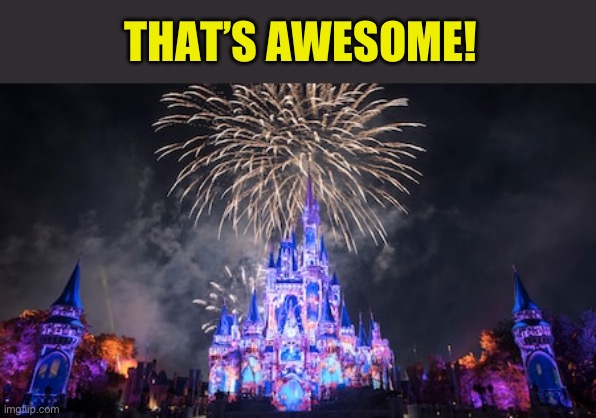 Disney World | THAT’S AWESOME! | image tagged in disney world | made w/ Imgflip meme maker