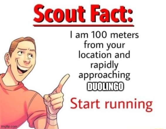 Scout Fact | DUOLINGO | image tagged in scout fact | made w/ Imgflip meme maker