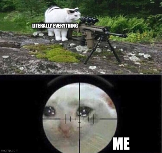 Me | LITERALLY EVERYTHING; ME | image tagged in sniper cat | made w/ Imgflip meme maker