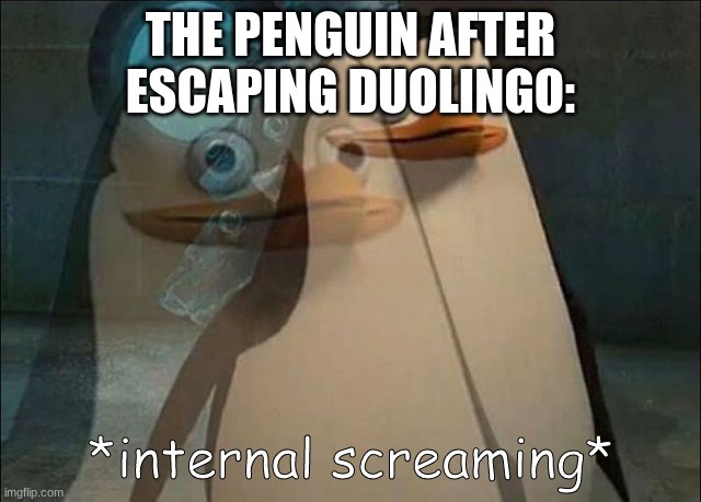 Private Internal Screaming | THE PENGUIN AFTER ESCAPING DUOLINGO: | image tagged in private internal screaming | made w/ Imgflip meme maker