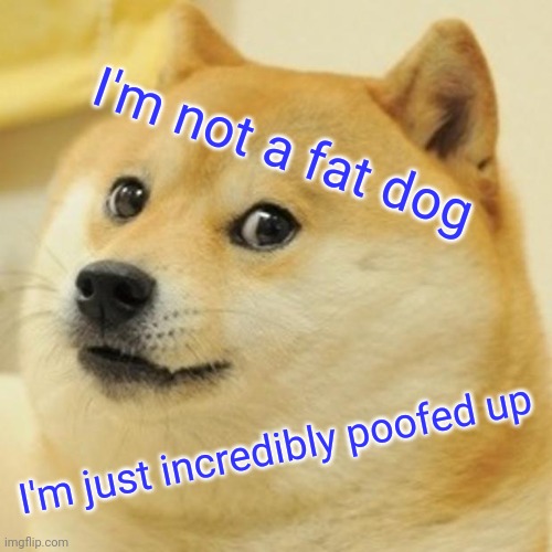 Doge | I'm not a fat dog; I'm just incredibly poofed up | image tagged in memes,doge | made w/ Imgflip meme maker