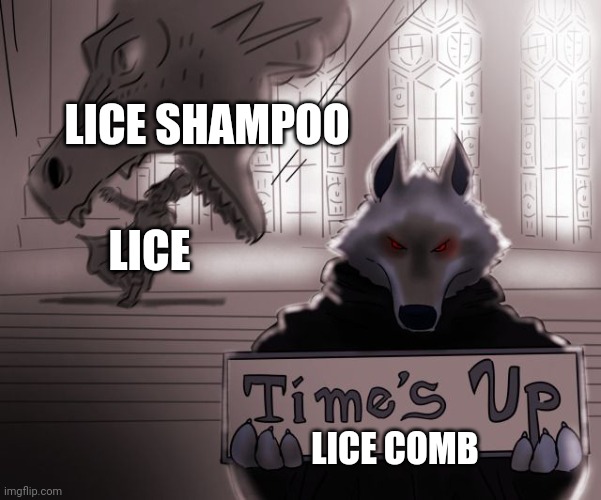 Lice don't stand a chance!!!! | LICE SHAMPOO; LICE; LICE COMB | image tagged in guess time really is up | made w/ Imgflip meme maker