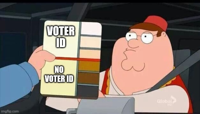 Peter Griffin Voter ID Test | VOTER ID; NO VOTER ID | image tagged in peter griffin skin color chart race terrorist blank | made w/ Imgflip meme maker