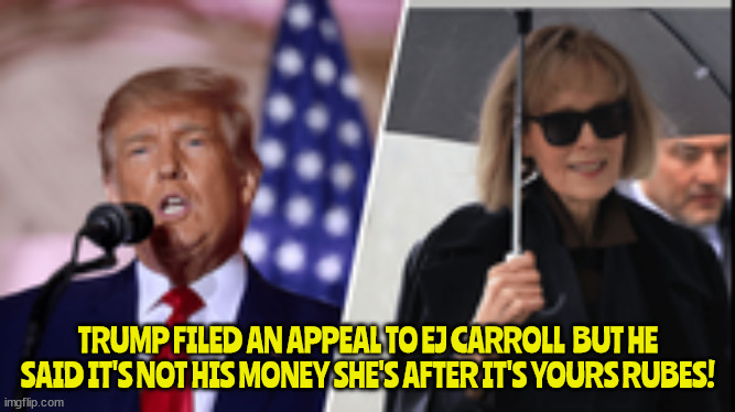 Trump VS EJ Carroll | TRUMP FILED AN APPEAL TO EJ CARROLL  BUT HE SAID IT'S NOT HIS MONEY SHE'S AFTER IT'S YOURS RUBES! | image tagged in donald trump,ej carroll,teeny weeny,rubes,suckers,five million dollars | made w/ Imgflip meme maker
