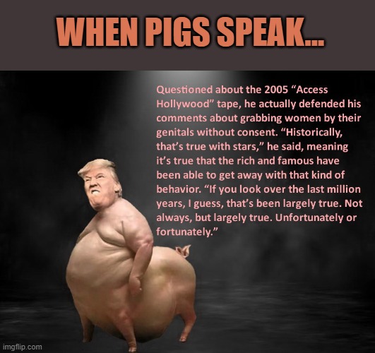 Let's not let 2024 be the year of the pig.... | WHEN PIGS SPEAK... | made w/ Imgflip meme maker