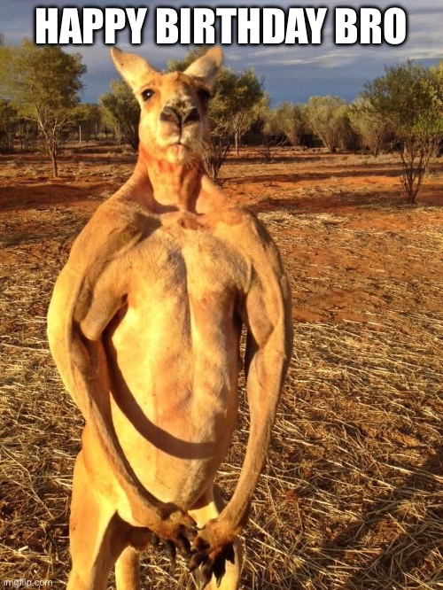 Buff Kangaroo | HAPPY BIRTHDAY BRO | image tagged in buff kangaroo | made w/ Imgflip meme maker