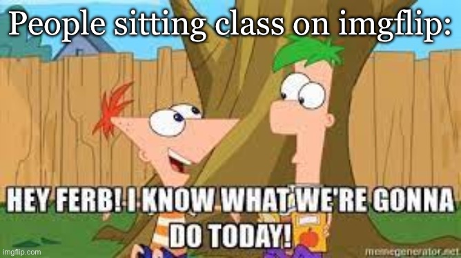 Hey Ferb I Know What We're Gonna Do Today | People sitting class on imgflip: | image tagged in hey ferb i know what we're gonna do today | made w/ Imgflip meme maker