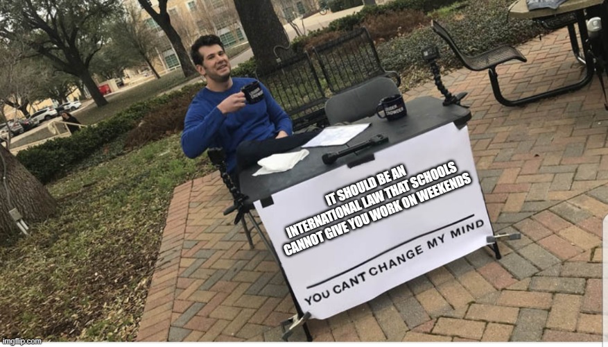 You can't. | IT SHOULD BE AN INTERNATIONAL LAW THAT SCHOOLS CANNOT GIVE YOU WORK ON WEEKENDS | image tagged in you cant change my mind | made w/ Imgflip meme maker