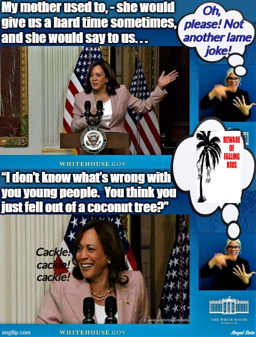 kamala telling her lame coconut joke 1 & 2 | My mother used to, - she would
give us a hard time sometimes,
and she would say to us. . . Oh,     
please! Not   
another lame
 joke! “I don’t know what’s wrong with
you young people.  You think you
just fell out of a coconut tree?”; Cackle!
cackle!
cackle! Angel Soto | image tagged in kamala harris,democrats,lame jokes,coconut | made w/ Imgflip meme maker