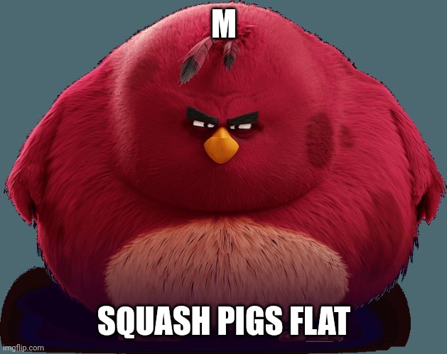 Angry Birds - Terence | M; SQUASH PIGS FLAT | image tagged in angry birds - terence,m | made w/ Imgflip meme maker