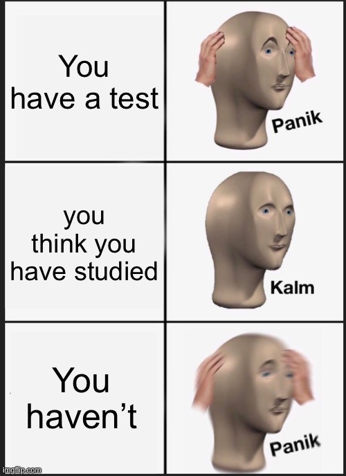 skool test | You have a test; you think you have studied; You haven’t | image tagged in memes,panik kalm panik | made w/ Imgflip meme maker