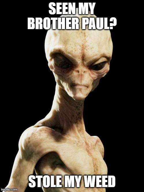 Pauls Bro | SEEN MY BROTHER PAUL? STOLE MY WEED | image tagged in alien | made w/ Imgflip meme maker