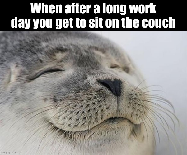 Satisfied Seal | When after a long work day you get to sit on the couch | image tagged in memes,satisfied seal | made w/ Imgflip meme maker