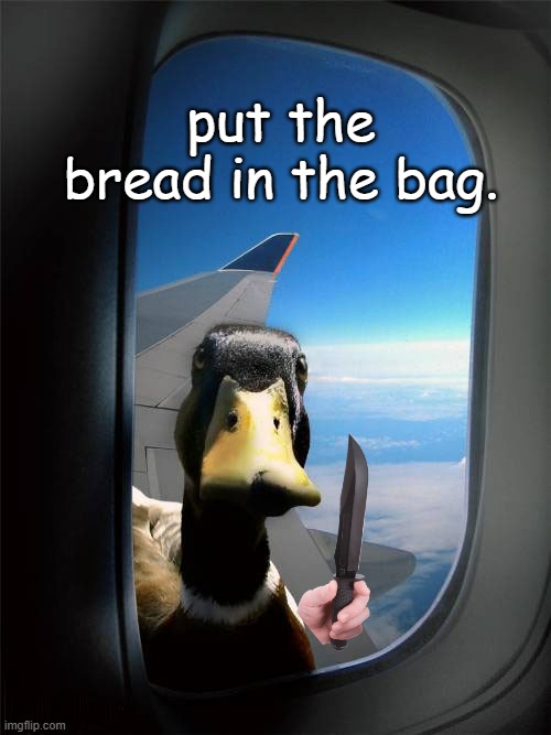 Duck Plane Window | put the bread in the bag. | image tagged in duck plane window | made w/ Imgflip meme maker