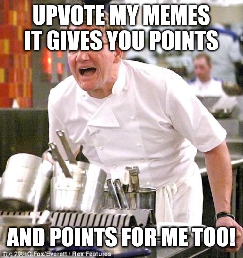Chef Gordon Ramsay | UPVOTE MY MEMES
IT GIVES YOU POINTS; AND POINTS FOR ME TOO! | image tagged in memes,chef gordon ramsay | made w/ Imgflip meme maker