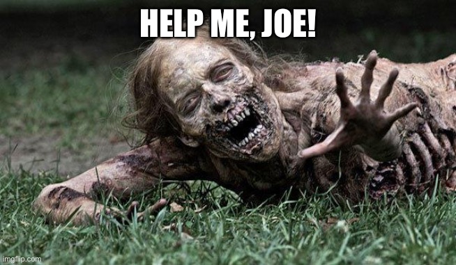 Walking Dead Zombie | HELP ME, JOE! | image tagged in walking dead zombie | made w/ Imgflip meme maker