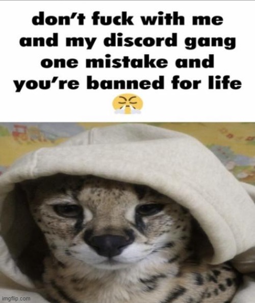 dont fuсk with me and my discord gang | image tagged in dont fu k with me and my discord gang | made w/ Imgflip meme maker