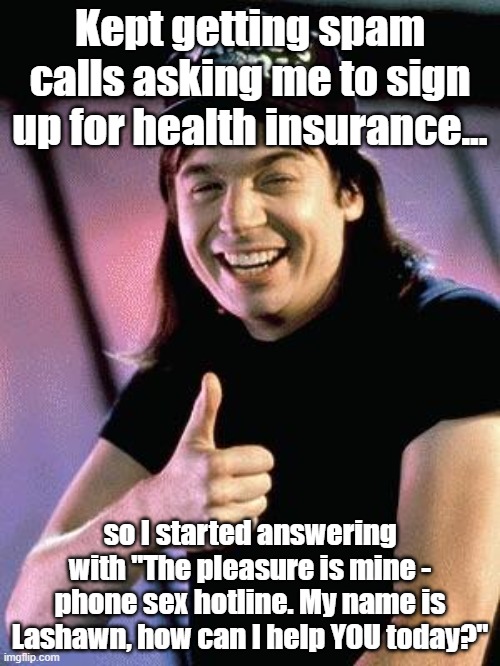They got the message quickly | Kept getting spam calls asking me to sign up for health insurance... so I started answering with "The pleasure is mine - phone sex hotline. My name is Lashawn, how can I help YOU today?" | image tagged in wayne's world | made w/ Imgflip meme maker