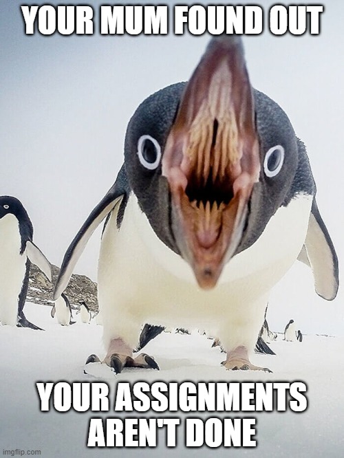 Penguin hungry | YOUR MUM FOUND OUT; YOUR ASSIGNMENTS AREN'T DONE | image tagged in penguin hungry | made w/ Imgflip meme maker