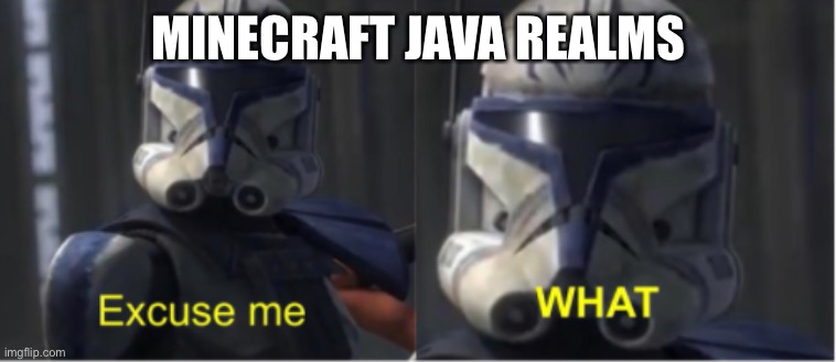 Excuse me what | MINECRAFT JAVA REALMS | image tagged in excuse me what | made w/ Imgflip meme maker