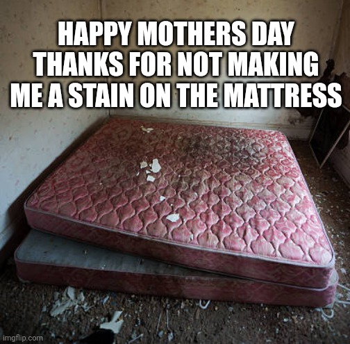 Mothers day | HAPPY MOTHERS DAY
THANKS FOR NOT MAKING ME A STAIN ON THE MATTRESS | image tagged in mothers day | made w/ Imgflip meme maker
