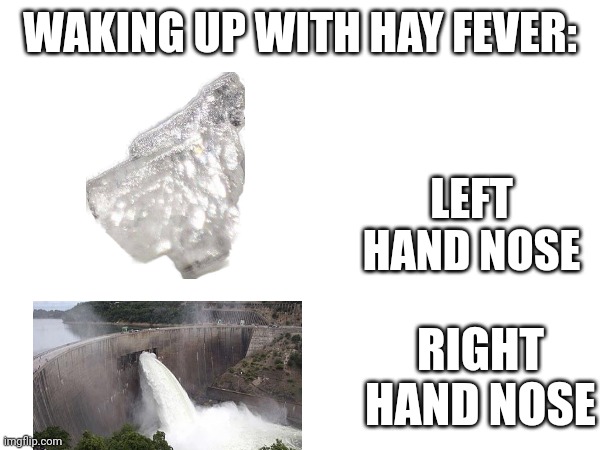 I found out Im allergic to pollen | WAKING UP WITH HAY FEVER:; LEFT HAND NOSE; RIGHT HAND NOSE | image tagged in hay fever,allergy,relatable | made w/ Imgflip meme maker