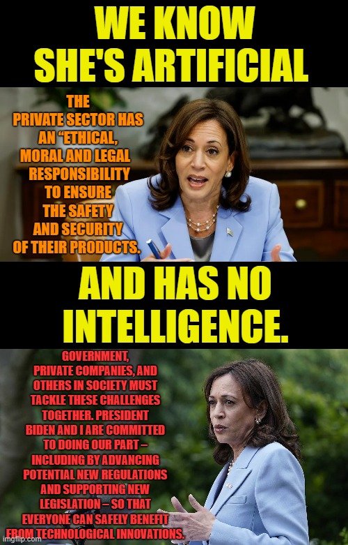 Kamala Harris Taking Over Artificial Intelligence | WE KNOW SHE'S ARTIFICIAL; THE PRIVATE SECTOR HAS AN “ETHICAL, MORAL AND LEGAL  
 RESPONSIBILITY TO ENSURE THE SAFETY AND SECURITY OF THEIR PRODUCTS. GOVERNMENT, PRIVATE COMPANIES, AND OTHERS IN SOCIETY MUST TACKLE THESE CHALLENGES TOGETHER. PRESIDENT BIDEN AND I ARE COMMITTED TO DOING OUR PART – INCLUDING BY ADVANCING POTENTIAL NEW REGULATIONS AND SUPPORTING NEW LEGISLATION – SO THAT EVERYONE CAN SAFELY BENEFIT FROM TECHNOLOGICAL INNOVATIONS. AND HAS NO INTELLIGENCE. | image tagged in memes,politics,kamala harris,artificial intelligence,word,salad | made w/ Imgflip meme maker