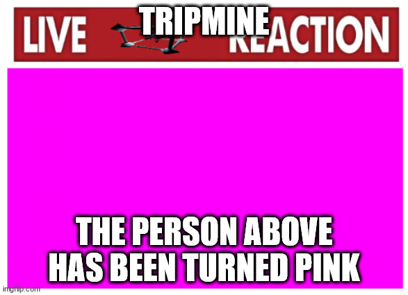 This does not effect anything lol | TRIPMINE; THE PERSON ABOVE HAS BEEN TURNED PINK | image tagged in live tripmine | made w/ Imgflip meme maker