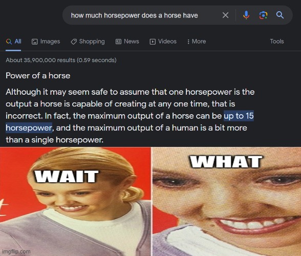 isn't one horse one horsepower?! | image tagged in funny,memes,wait what,bruh,google,horse | made w/ Imgflip meme maker