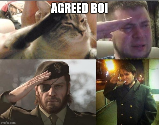 Ozon's Salute | AGREED BOI | image tagged in ozon's salute | made w/ Imgflip meme maker