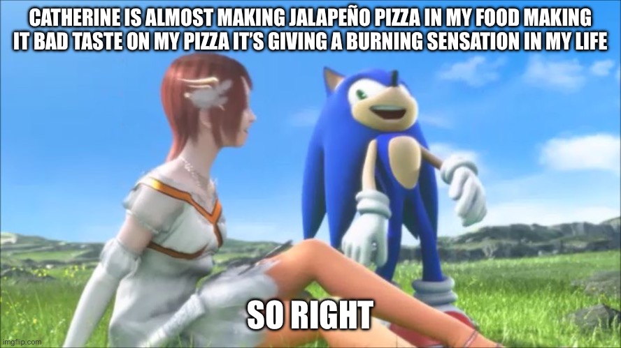 Jalapeño pizza memes | CATHERINE IS ALMOST MAKING JALAPEÑO PIZZA IN MY FOOD MAKING IT BAD TASTE ON MY PIZZA IT’S GIVING A BURNING SENSATION IN MY LIFE; SO RIGHT | image tagged in happy analversary sonic | made w/ Imgflip meme maker