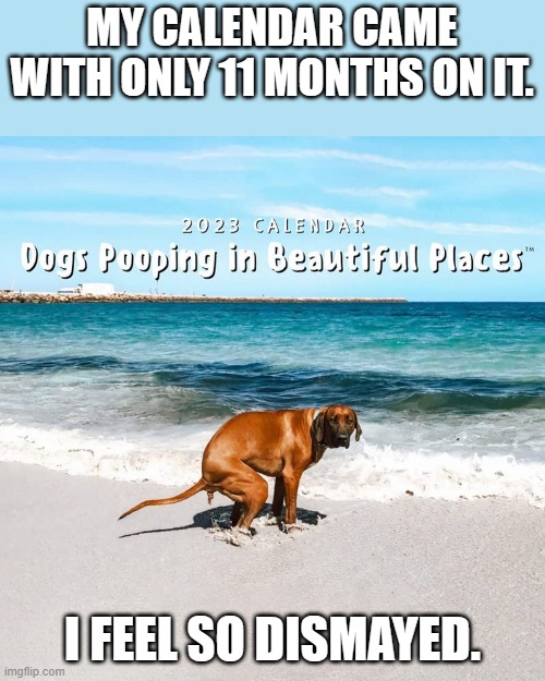 meme by brad dismayed calendar | MY CALENDAR CAME WITH ONLY 11 MONTHS ON IT. I FEEL SO DISMAYED. | image tagged in dogs | made w/ Imgflip meme maker
