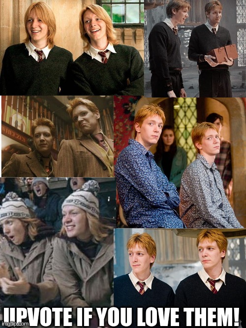 Upvote if you love the Weasley twins!!! | UPVOTE IF YOU LOVE THEM! | image tagged in harry potter | made w/ Imgflip meme maker