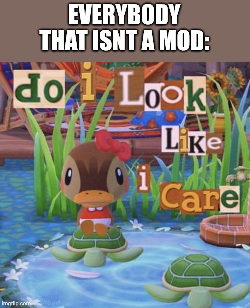 Do I look like I care | EVERYBODY THAT ISNT A MOD: | image tagged in do i look like i care | made w/ Imgflip meme maker