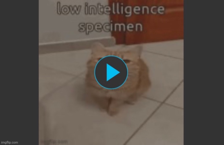 Low intelligence specimen | image tagged in gifs | made w/ Imgflip meme maker