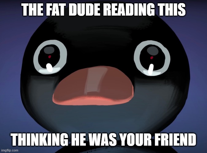 Pingu stare | THE FAT DUDE READING THIS THINKING HE WAS YOUR FRIEND | image tagged in pingu stare | made w/ Imgflip meme maker