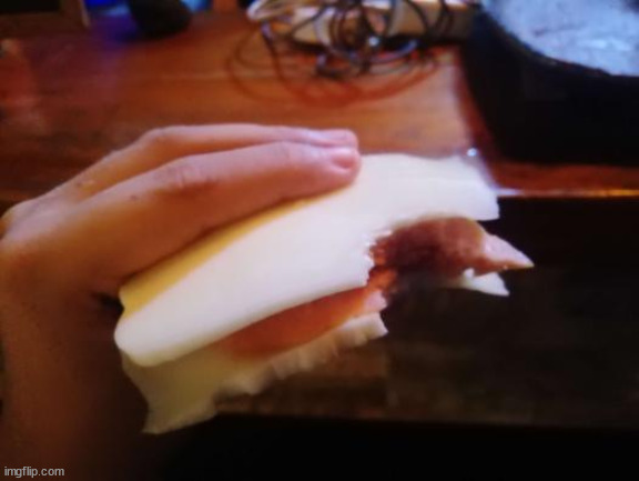 Ham and cheese | image tagged in cursed image | made w/ Imgflip meme maker