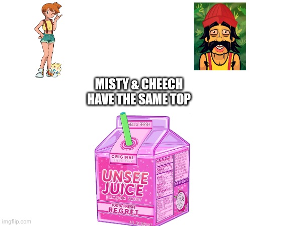 I can't unsee it now | MISTY & CHEECH HAVE THE SAME TOP | image tagged in pokemon,cheech and chong,unsee juice | made w/ Imgflip meme maker