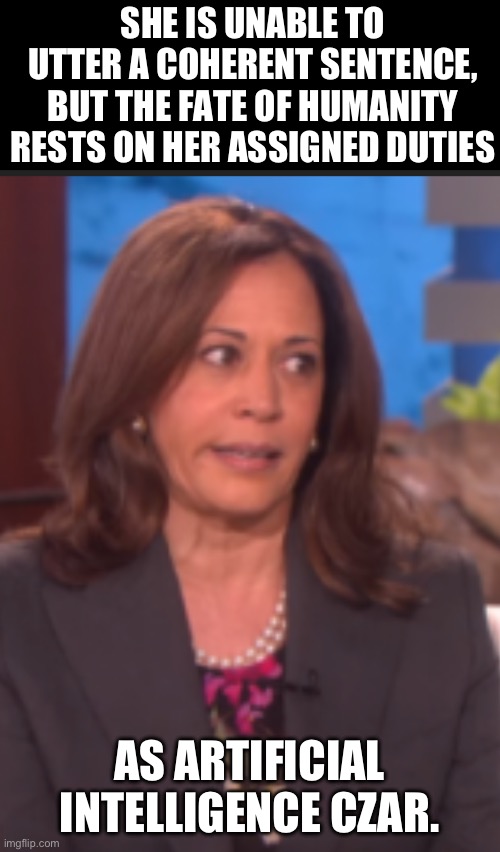 We’re doomed | SHE IS UNABLE TO UTTER A COHERENT SENTENCE, BUT THE FATE OF HUMANITY RESTS ON HER ASSIGNED DUTIES; AS ARTIFICIAL INTELLIGENCE CZAR. | image tagged in kamala harris | made w/ Imgflip meme maker