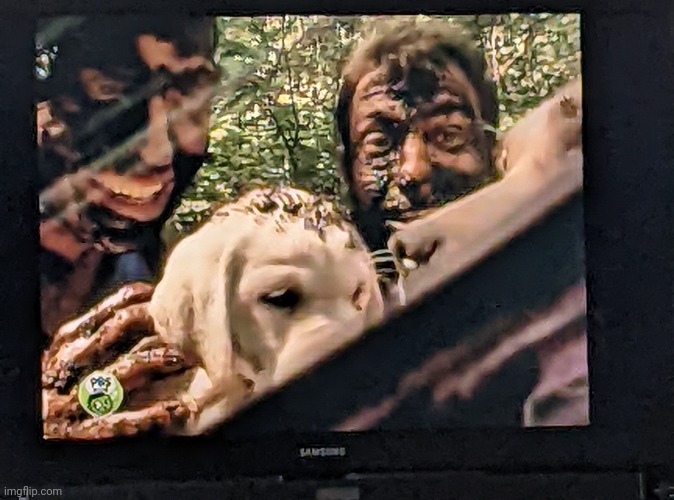 Black face should be illegal | made w/ Imgflip meme maker