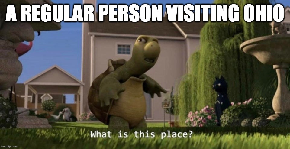 A regular person visiting ohio | A REGULAR PERSON VISITING OHIO | image tagged in what is this place,ohio,msmg | made w/ Imgflip meme maker